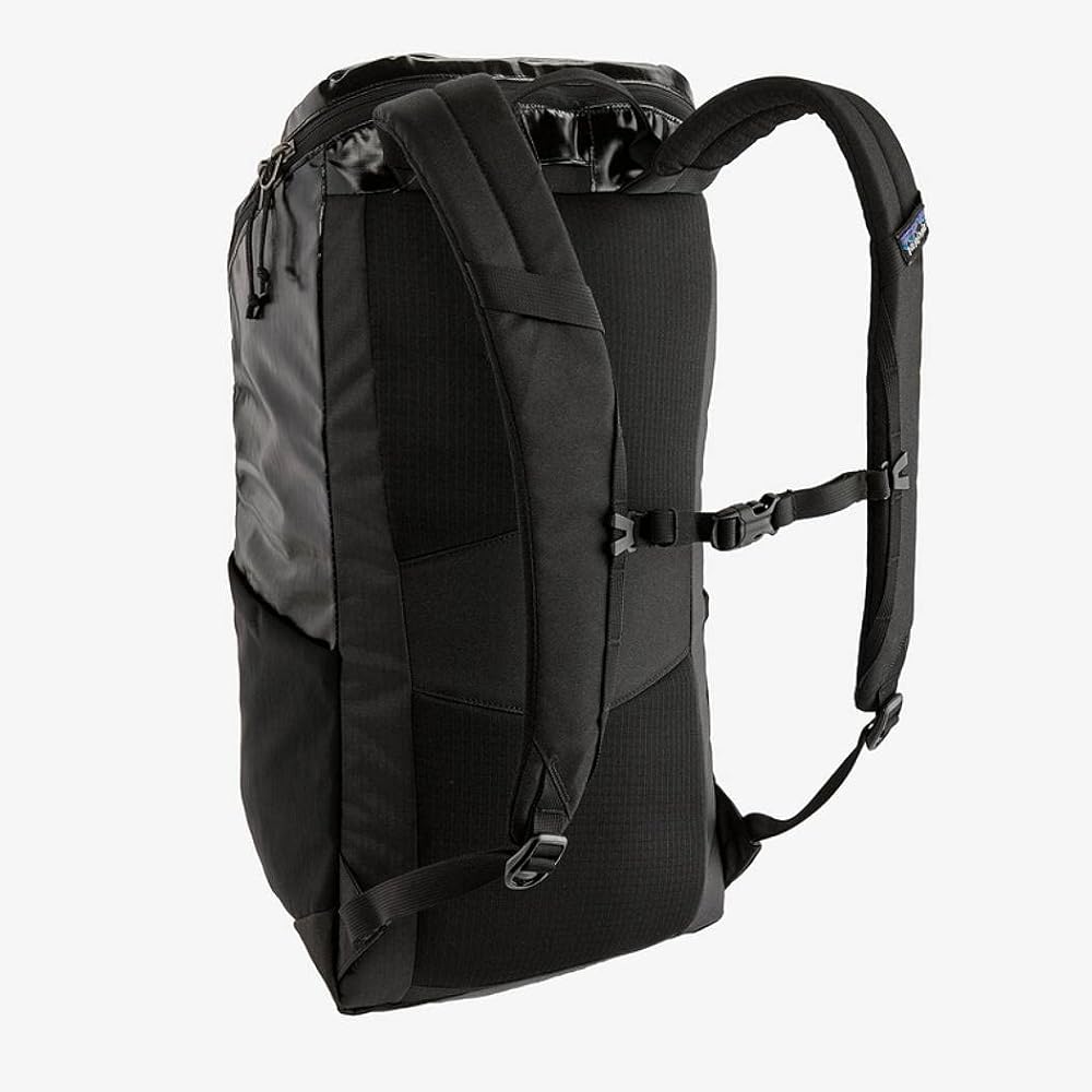 Patagonia Unisex Black Hole-pack 25L Backpack : Amazon.ca